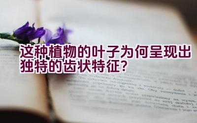 这种植物的叶子为何呈现出独特的齿状特征？插图