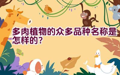 多肉植物的众多品种名称是怎样的？插图