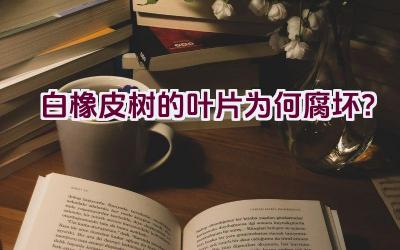 白橡皮树的叶片为何腐坏？插图