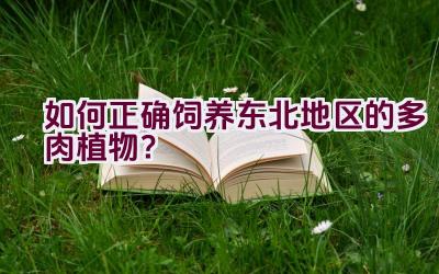 如何正确饲养东北地区的多肉植物？插图