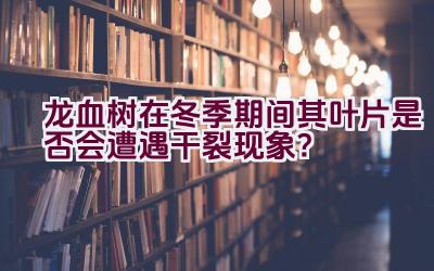 龙血树在冬季期间其叶片是否会遭遇干裂现象？插图