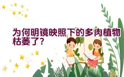 为何明镜映照下的多肉植物枯萎了?插图 为何明镜映照下的多肉植物枯萎了?插图