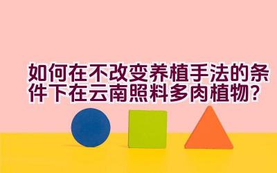 如何在不改变养植手法的条件下在云南照料多肉植物？插图