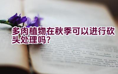 多肉植物在秋季可以进行砍头处理吗？插图