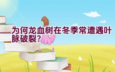 为何龙血树在冬季常遭遇叶脉破裂？插图