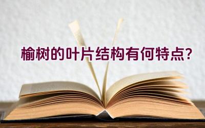 榆树的叶片结构有何特点？插图