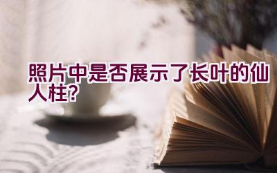 照片中是否展示了长叶的仙人柱？插图