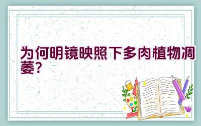 为何明镜映照下多肉植物凋萎？插图