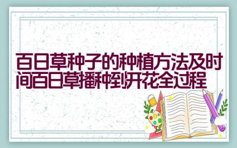 百日草种子的种植方法及时间（百日草播种到开花全过程）插图