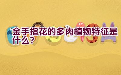 “金手指花的多肉植物特征是什么？”插图