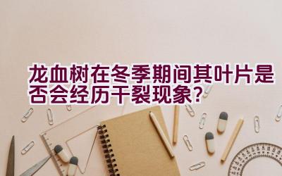 龙血树在冬季期间其叶片是否会经历干裂现象？插图