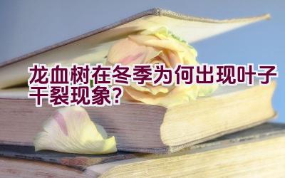 龙血树在冬季为何出现叶子干裂现象？插图