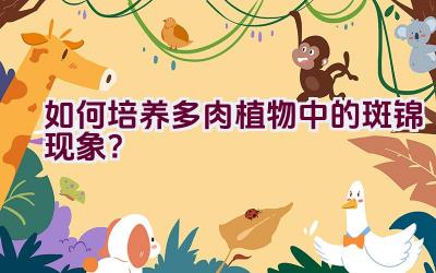 如何培养多肉植物中的斑锦现象?插图 如何培养多肉植物中的斑锦现象?插图