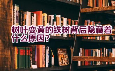 树叶变黄的铁树背后隐藏着什么原因？插图