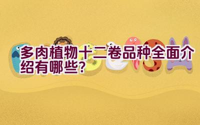 “多肉植物十二卷品种全面介绍有哪些？”插图