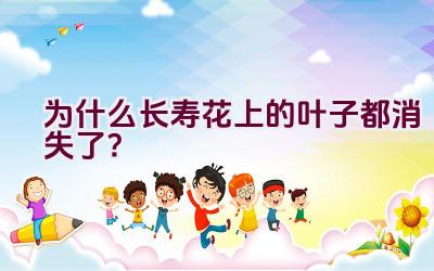 为什么长寿花上的叶子都消失了？插图