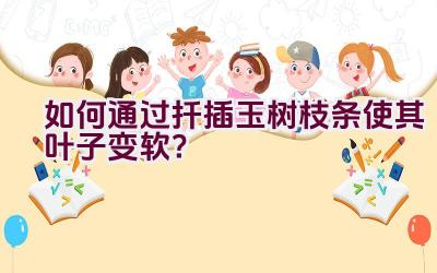 如何通过扦插玉树枝条使其叶子变软？插图