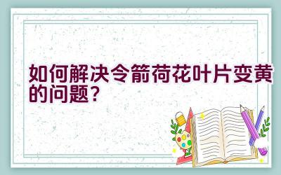 如何解决令箭荷花叶片变黄的问题？插图