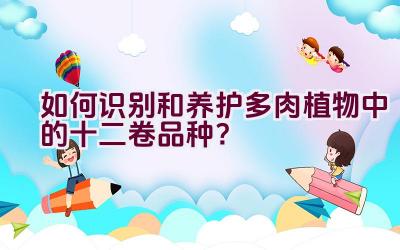 如何识别和养护多肉植物中的十二卷品种？插图