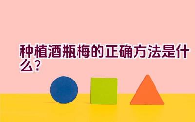 种植酒瓶梅的正确方法是什么？插图