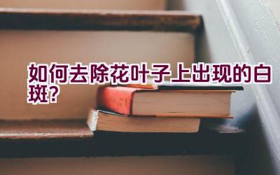 如何去除花叶子上出现的白斑?插图 如何去除花叶子上出现的白斑?插图