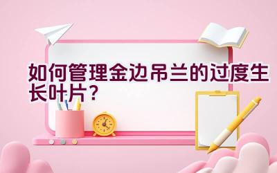 如何管理金边吊兰的过度生长叶片？插图