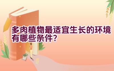 多肉植物最适宜生长的环境有哪些条件？插图