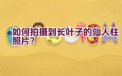 如何拍摄到长叶子的仙人柱照片？插图