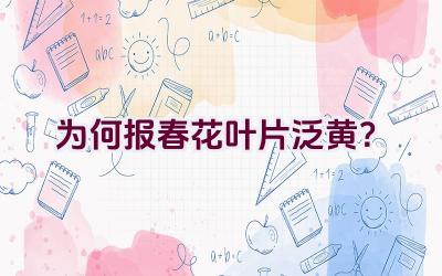 为何报春花叶片泛黄？插图