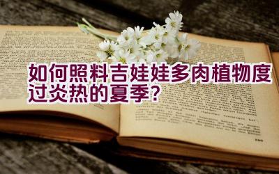 如何照料吉娃娃多肉植物度过炎热的夏季？插图