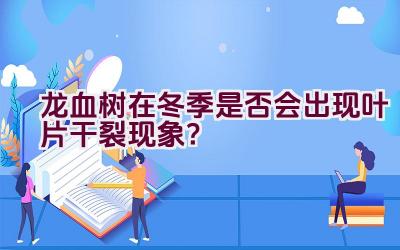 龙血树在冬季是否会出现叶片干裂现象？插图