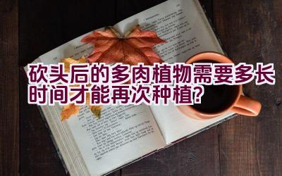 砍头后的多肉植物需要多长时间才能再次种植？插图