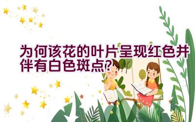 为何该花的叶片呈现红色并伴有白色斑点？插图