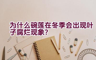 为什么碗莲在冬季会出现叶子腐烂现象？插图