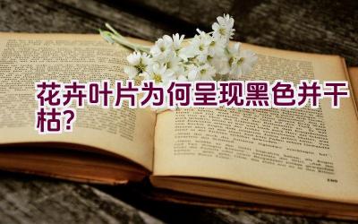 花卉叶片为何呈现黑色并干枯？插图