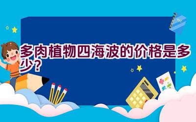 多肉植物四海波的价格是多少？插图