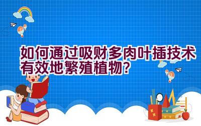 如何通过吸财多肉叶插技术有效地繁殖植物？插图