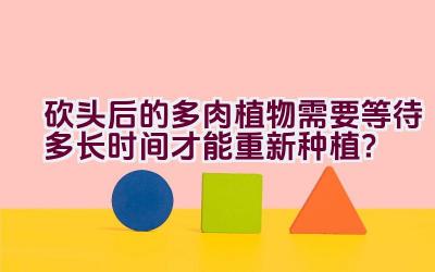 砍头后的多肉植物需要等待多长时间才能重新种植？插图