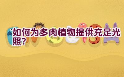 如何为多肉植物提供充足光照？插图