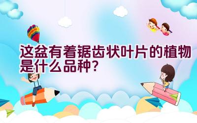 这盆有着锯齿状叶片的植物是什么品种？插图