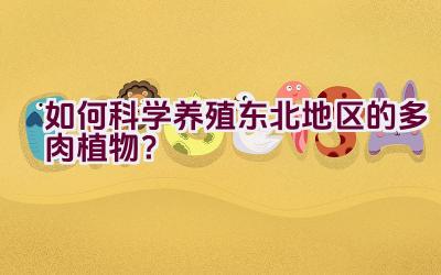 如何科学养殖东北地区的多肉植物？插图