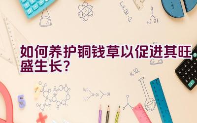 如何养护铜钱草以促进其旺盛生长？插图