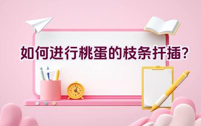 如何进行桃蛋的枝条扦插？插图