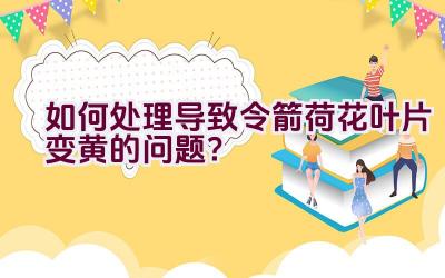 如何处理导致令箭荷花叶片变黄的问题？插图