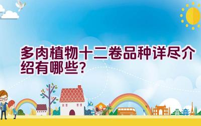 多肉植物十二卷品种详尽介绍有哪些?插图 多肉植物十二卷品种详尽介绍有哪些?插图