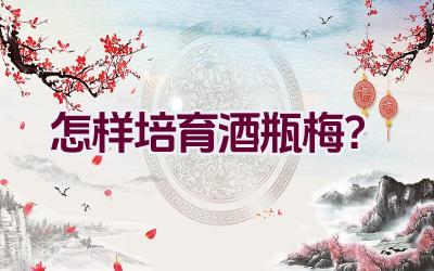 怎样培育酒瓶梅?插图 怎样培育酒瓶梅?插图