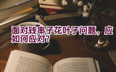 面对钱串子花叶子问题，应如何应对？插图