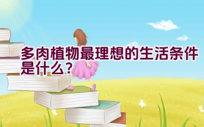 多肉植物最理想的生活条件是什么？插图