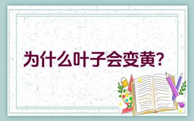 为什么叶子会变黄？插图