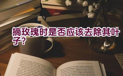 摘玫瑰时是否应该去除其叶子？插图